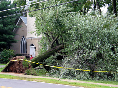 Fallen Tree by a Church